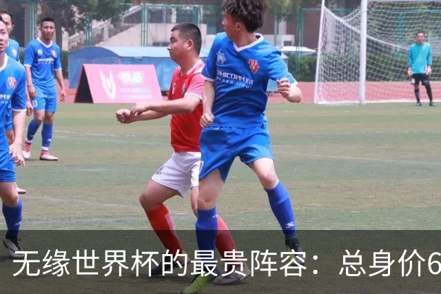 无缘世界杯的最贵阵容：总身价6.7亿 意大利5人