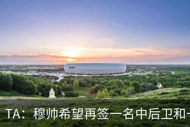 TA：穆帅希望再签一名中后卫和一名中场，楚阿梅尼可能离队